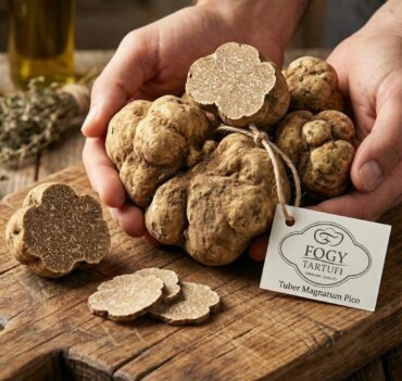 White truffle (Tuber Magnatum Pico)