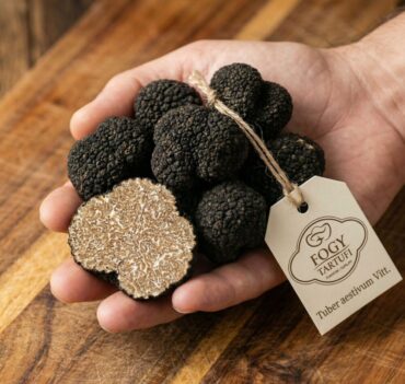 Črni tartuf (Tuber aestivum Vitt.)